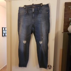 TORRID NWT Distressed Premium Jeggings [24R]